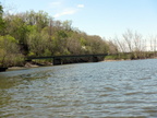 IMG 4565